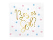 Picture of GENDER REVEAL NAPKINS 33x33CM - 20 PACK